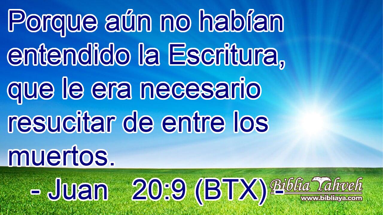 Porque aún no habían entendido la Escritura, que le era necesario resucitar de entre los muertos.