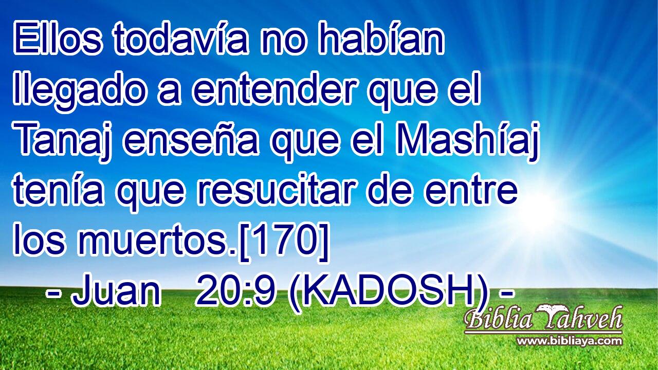  Ellos todavía no habían llegado a entender que el Tanaj enseña que el Mashíaj tenía que resucitar de entre los muertos.[170] 