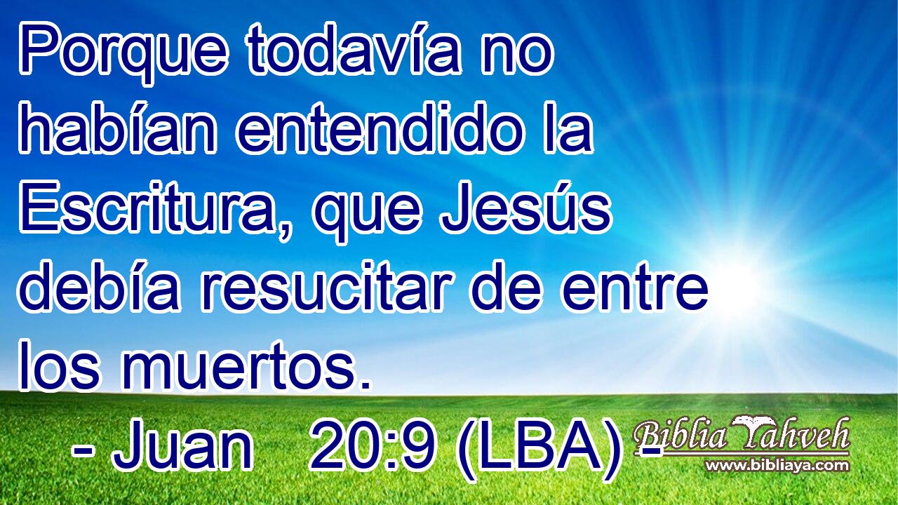 Porque todavía no habían entendido la Escritura, que Jesús debía resucitar de entre los muertos.