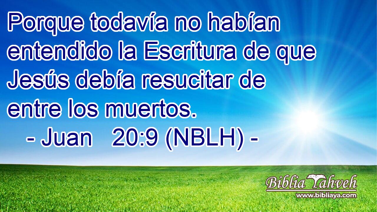  Porque todavía no habían entendido la Escritura de que Jesús debía resucitar de entre los muertos. 