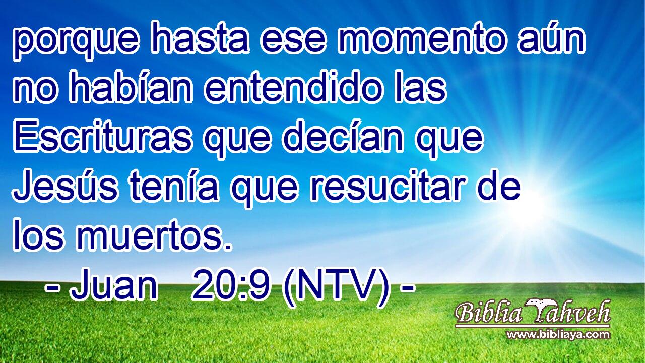 porque hasta ese momento aún no habían entendido las Escrituras que decían que Jesús tenía que resucitar de los muertos.