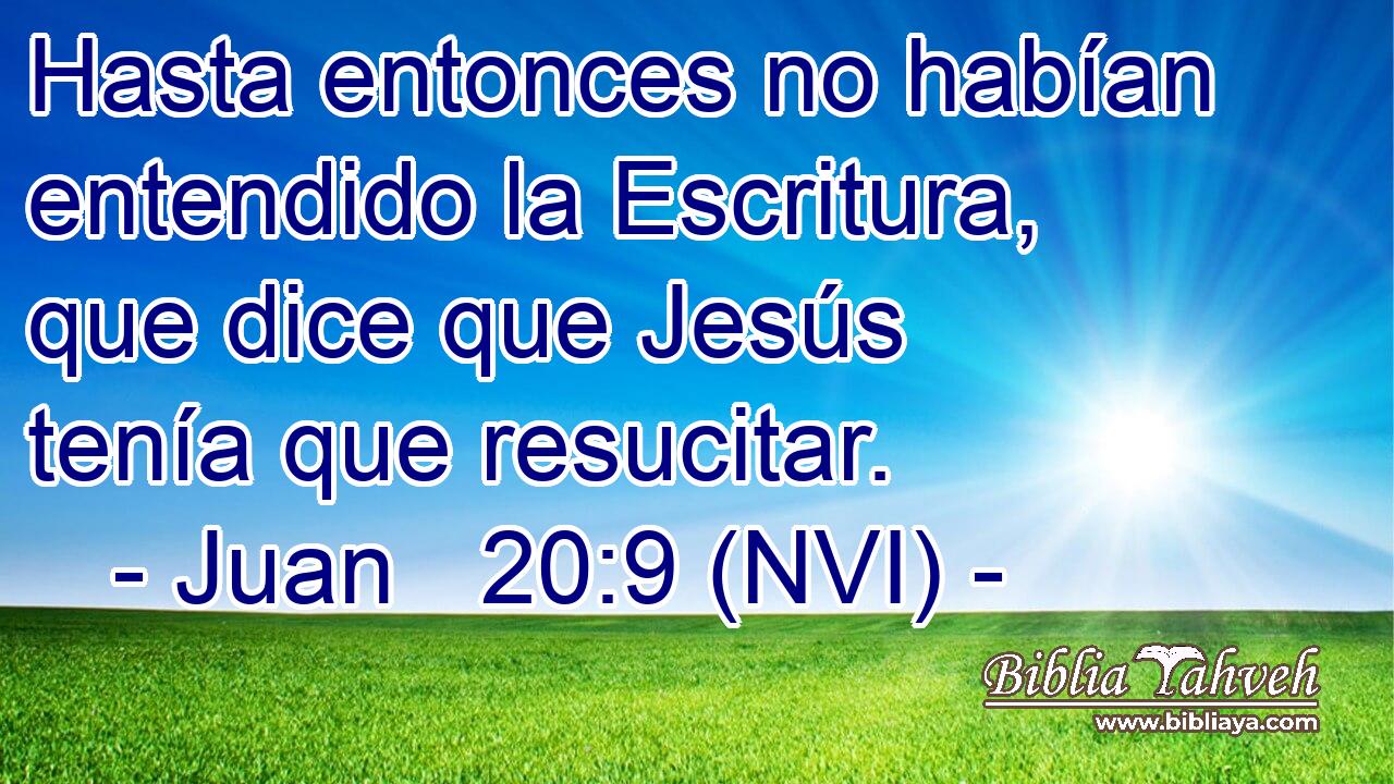  Hasta entonces no habían entendido la Escritura, que dice que Jesús tenía que resucitar. 