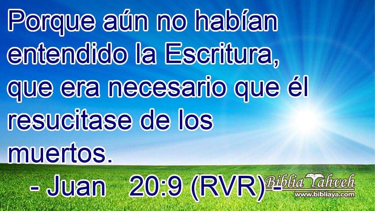 Porque aún no habían entendido la Escritura, que era necesario que él resucitase de los muertos.