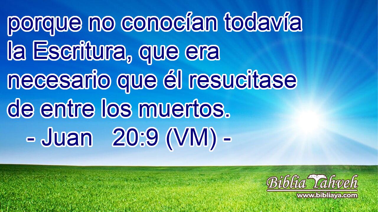  porque no conocían todavía la Escritura, que era necesario que él resucitase de entre los muertos. 