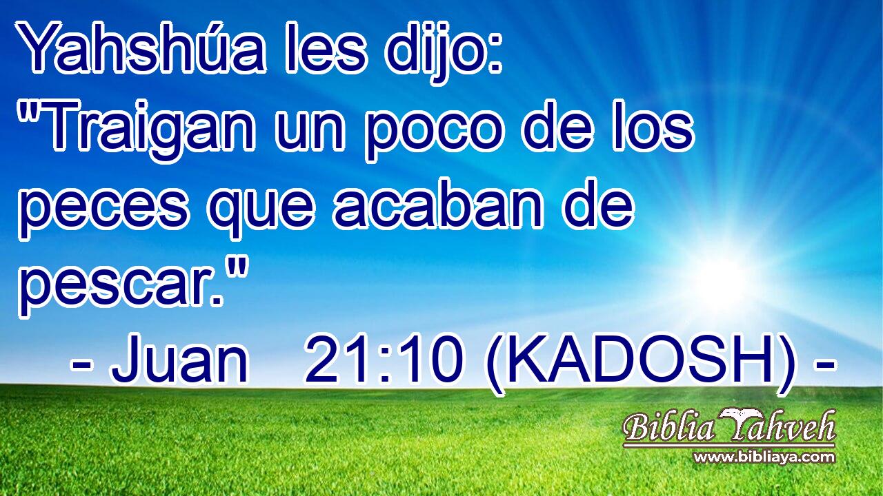  Yahshúa les dijo: 