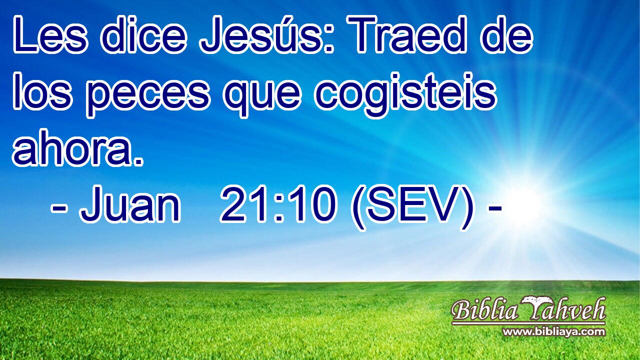 Les dice Jesús: Traed de los peces que cogisteis ahora.