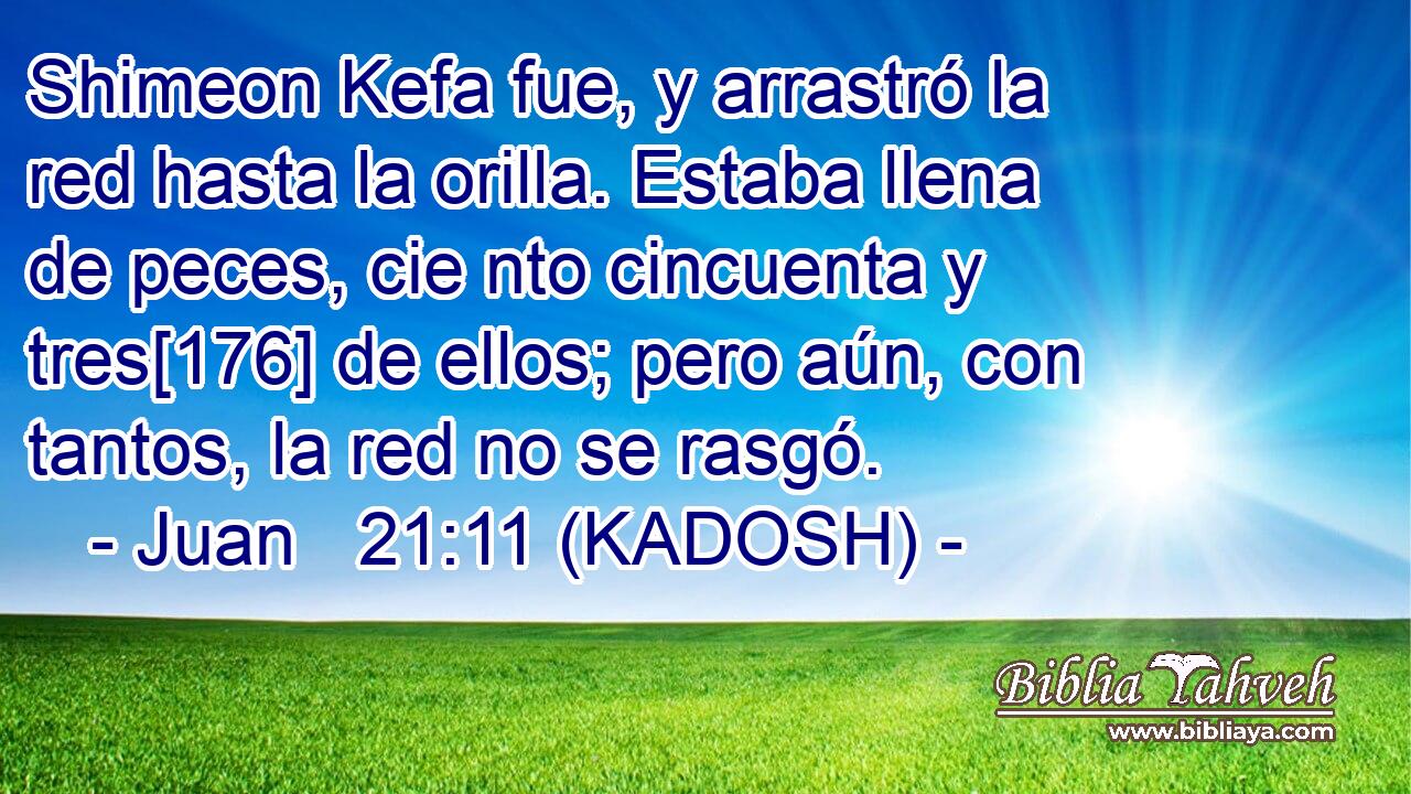  Shimeon Kefa fue, y arrastró la red hasta la orilla. Estaba llena de peces, cie nto cincuenta y tres[176] de ellos; pero aún, con tantos, la red no se rasgó. 