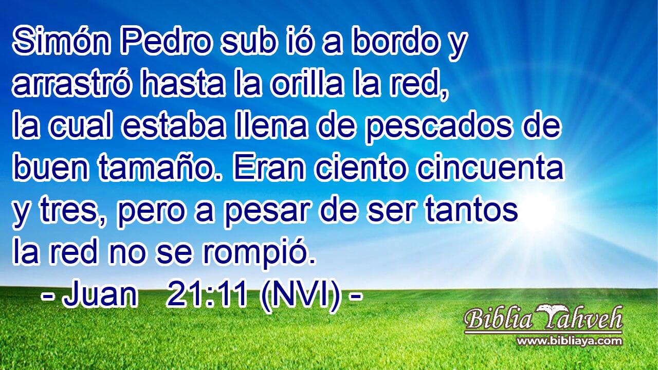  Simón Pedro sub ió a bordo y arrastró hasta la orilla la red, la cual estaba llena de pescados de buen tamaño. Eran ciento cincuenta y tres, pero a pesar de ser tantos la red no se rompió. 