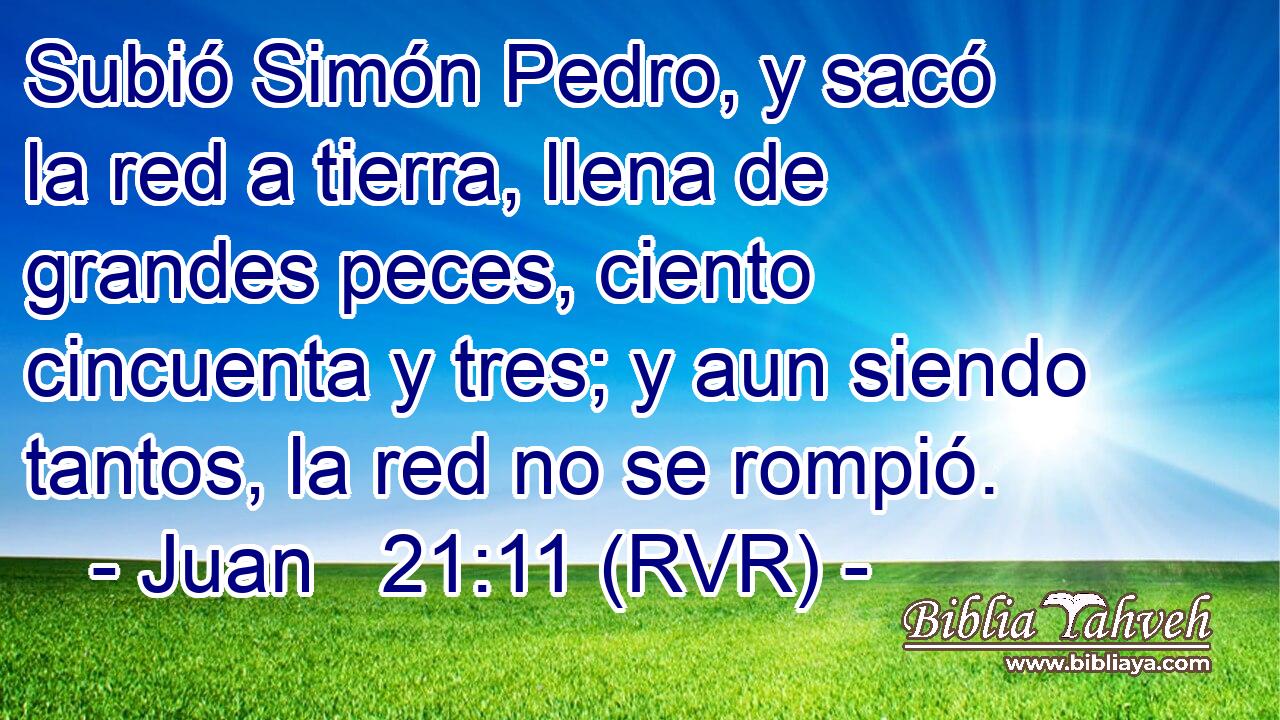 Subió Simón Pedro, y sacó la red a tierra, llena de grandes peces, ciento cincuenta y tres; y aun siendo tantos, la red no se rompió.