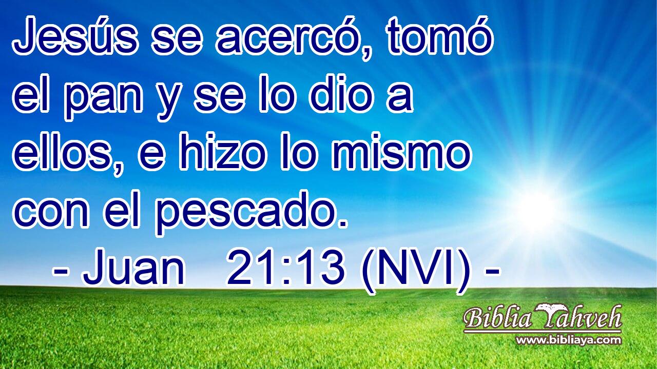  Jesús se acercó, tomó el pan y se lo dio a ellos, e hizo lo mismo con el pescado. 