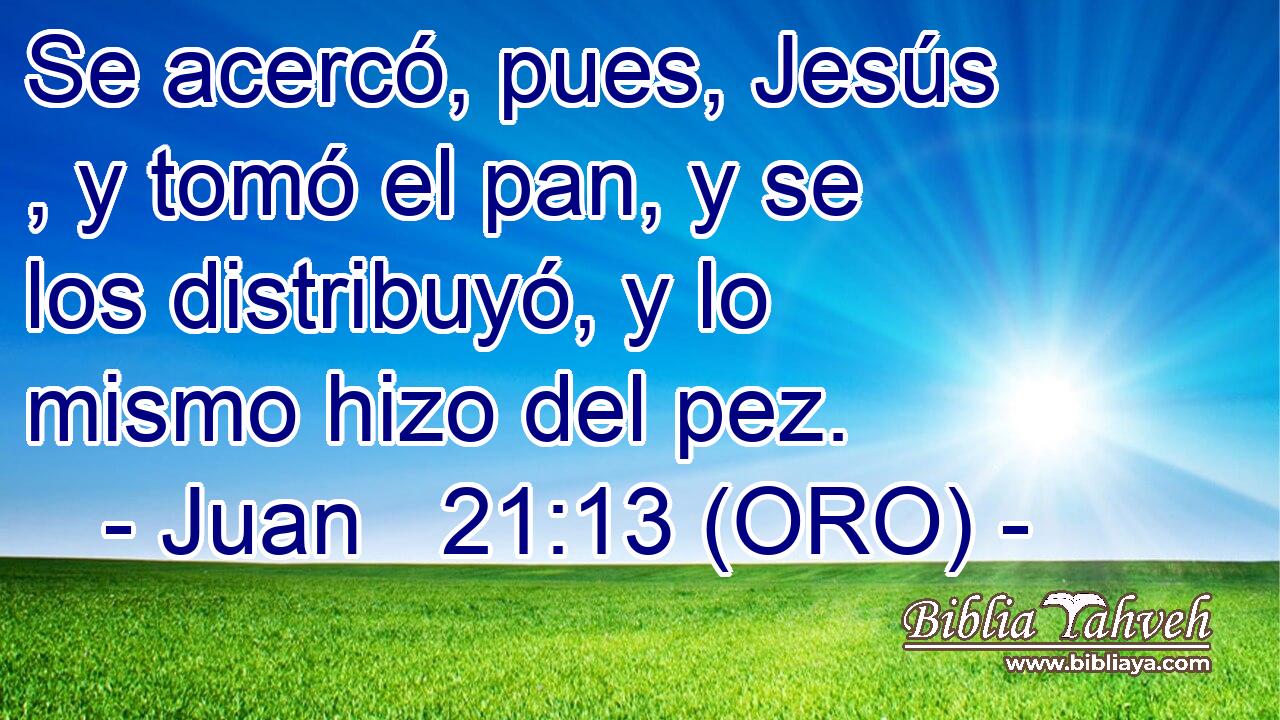  Se acercó, pues, Jesús , y tomó el pan, y se los distribuyó, y lo mismo hizo del pez. 