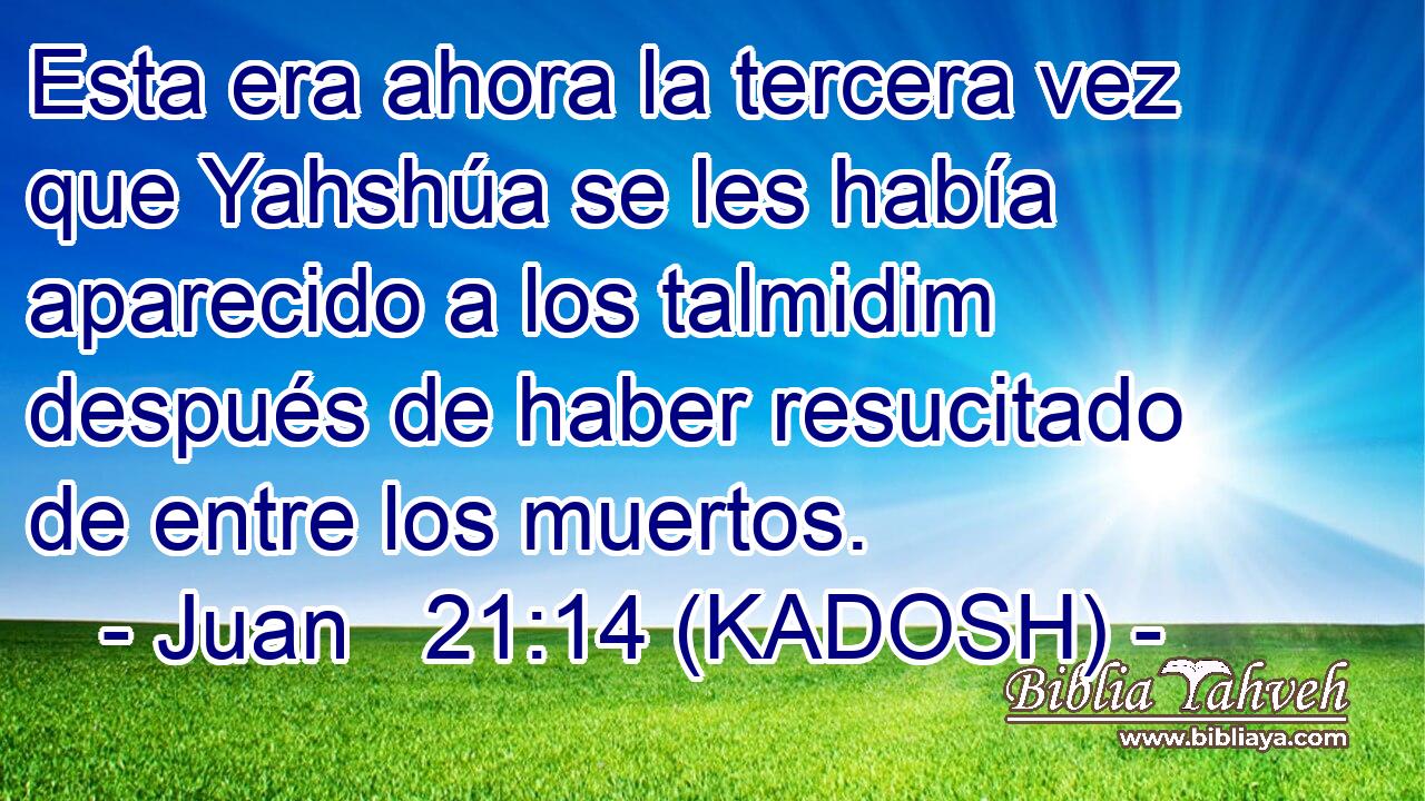  Esta era ahora la tercera vez que Yahshúa se les había aparecido a los talmidim después de haber resucitado de entre los muertos. 