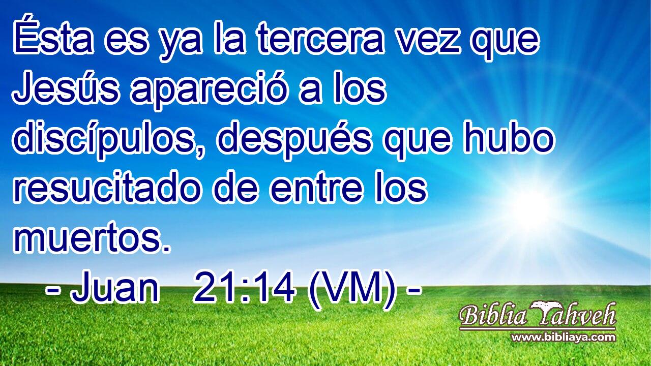  Ésta es ya la tercera vez que Jesús apareció a los discípulos, después que hubo resucitado de entre los muertos. 