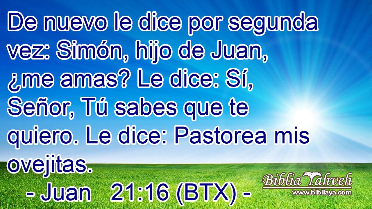 De nuevo le dice por segunda vez: Simón, hijo de Juan, ¿me amas? Le dice: Sí, Señor, Tú sabes que te quiero. Le dice: Pastorea mis ovejitas.