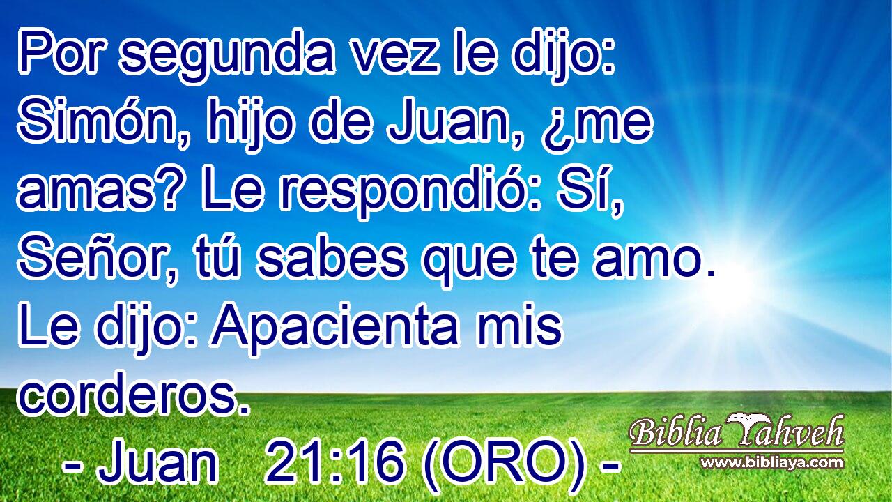  Por segunda vez le dijo: Simón, hijo de Juan, ¿me amas? Le respondió: Sí, Señor, tú sabes que te amo. Le dijo: Apacienta mis corderos. 