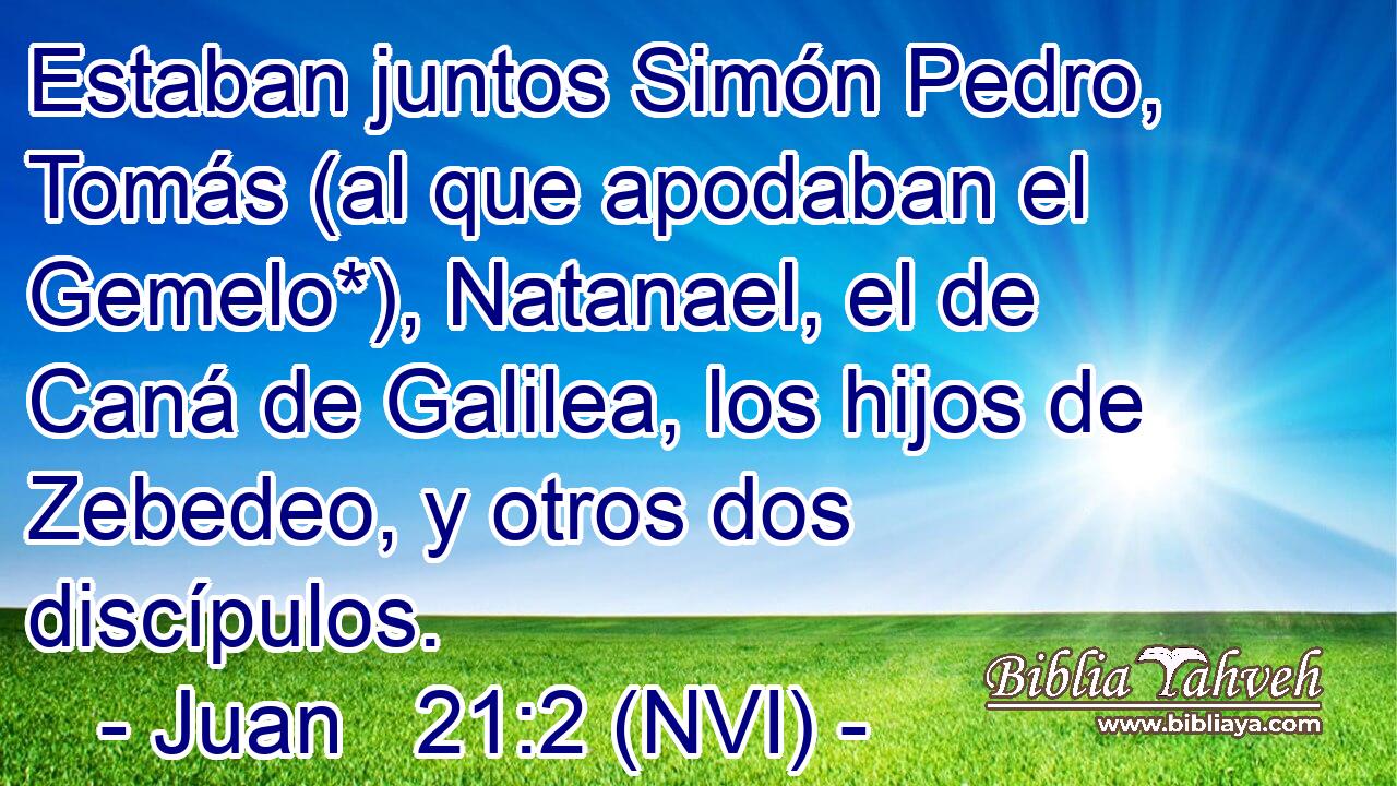  Estaban juntos Simón Pedro, Tomás (al que apodaban el Gemelo*), Natanael, el de Caná de Galilea, los hijos de Zebedeo, y otros dos discípulos. 