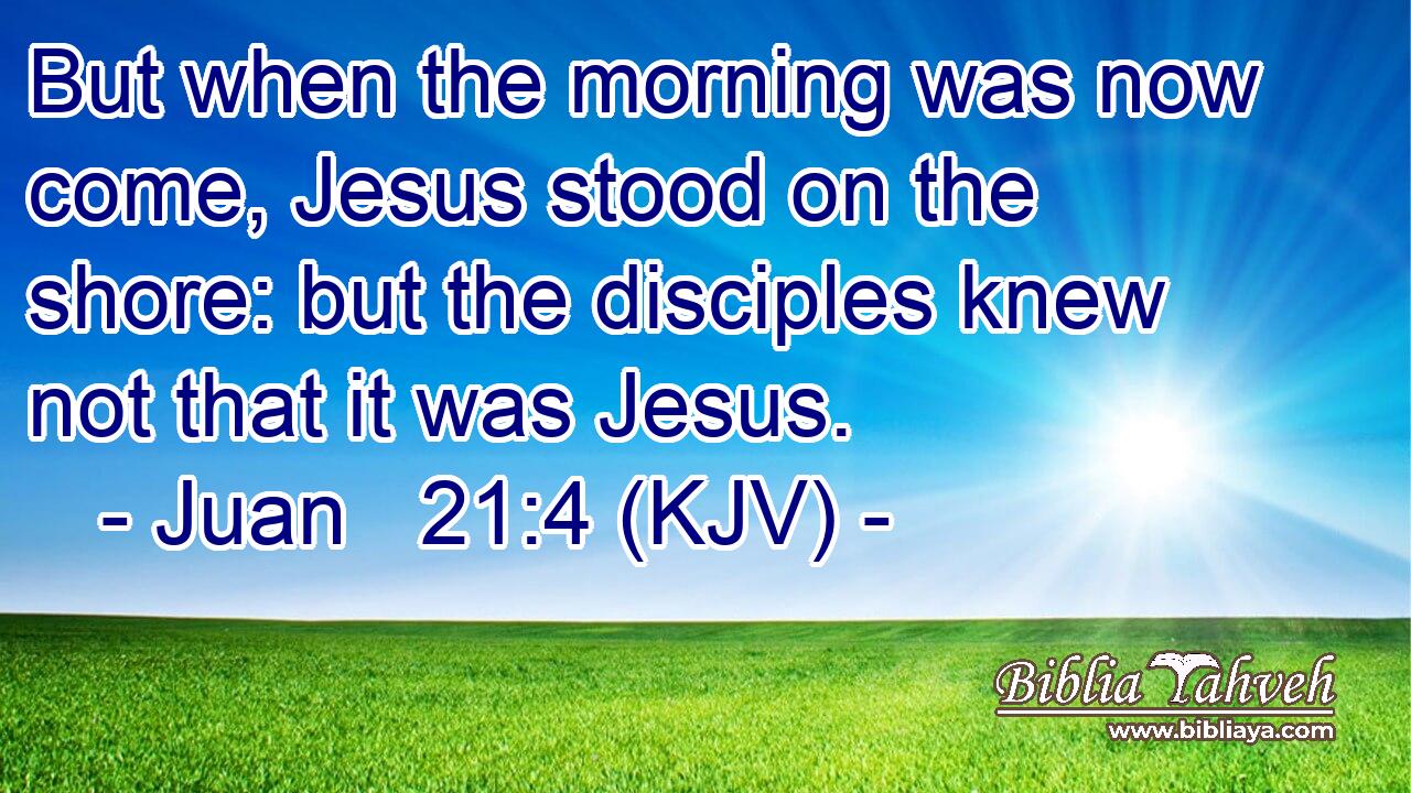 But when the morning was now come, Jesus stood on the shore: but the disciples knew not that it was Jesus.