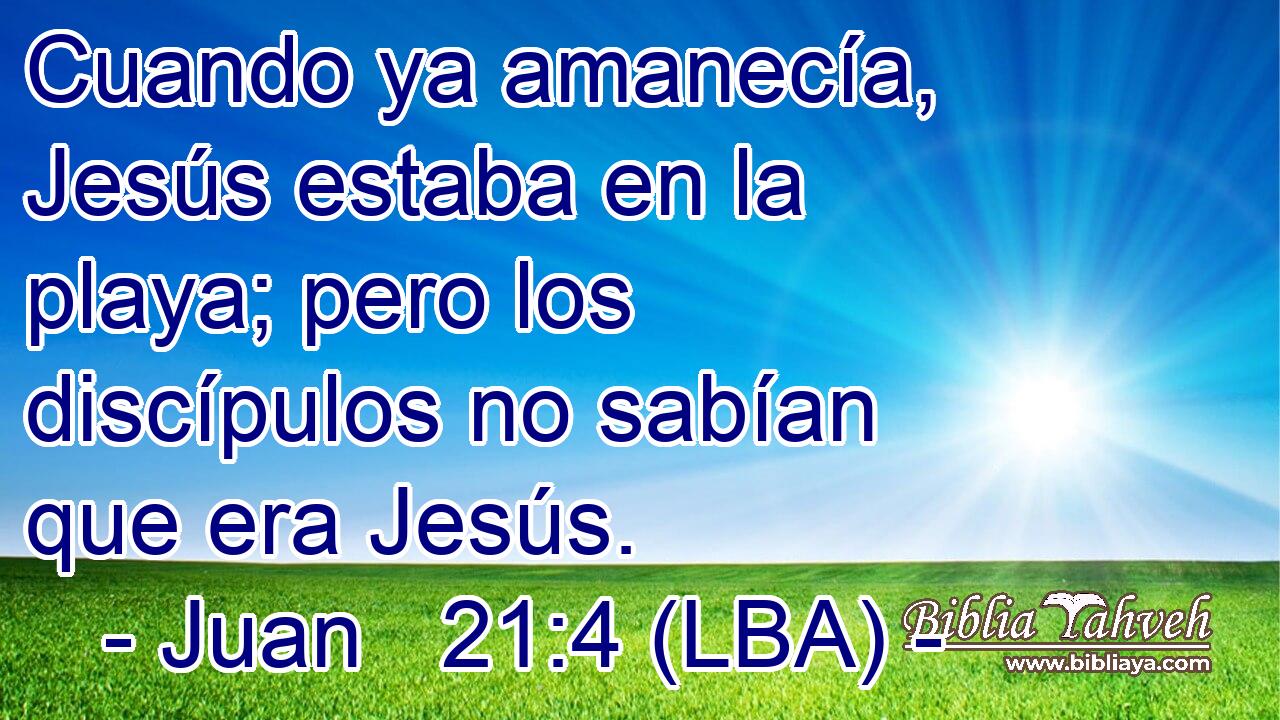 Cuando ya amanecía, Jesús estaba en la playa; pero los discípulos no sabían que era Jesús.