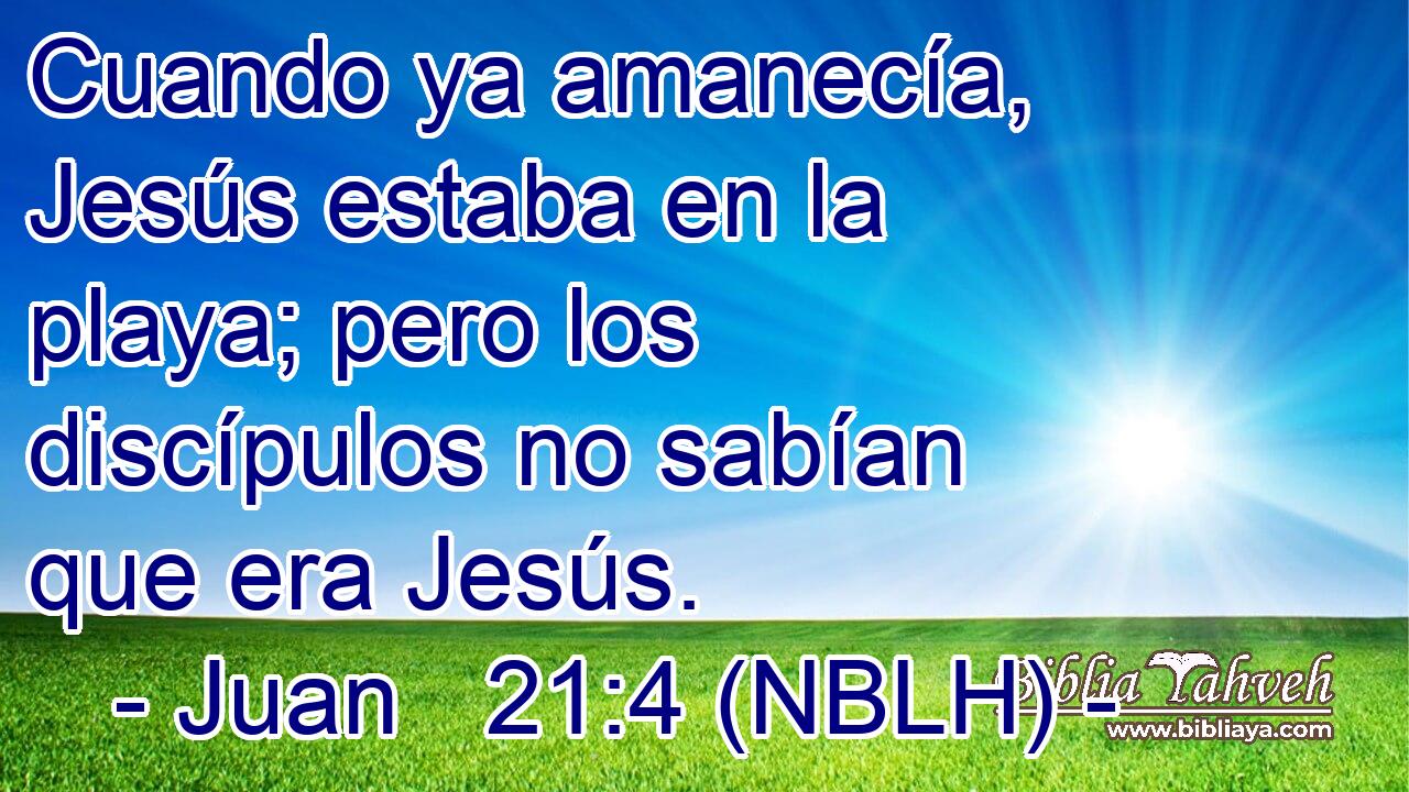  Cuando ya amanecía, Jesús estaba en la playa; pero los discípulos no sabían que era Jesús. 