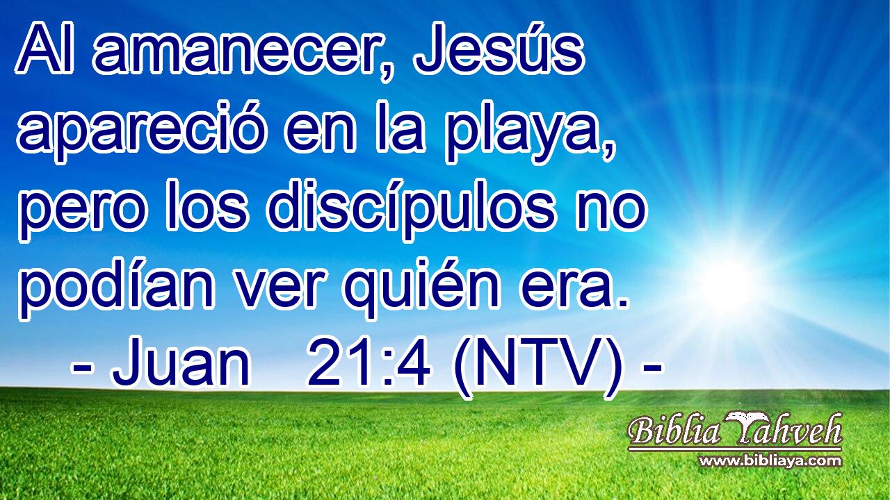 Al amanecer, Jesús apareció en la playa, pero los discípulos no podían ver quién era.