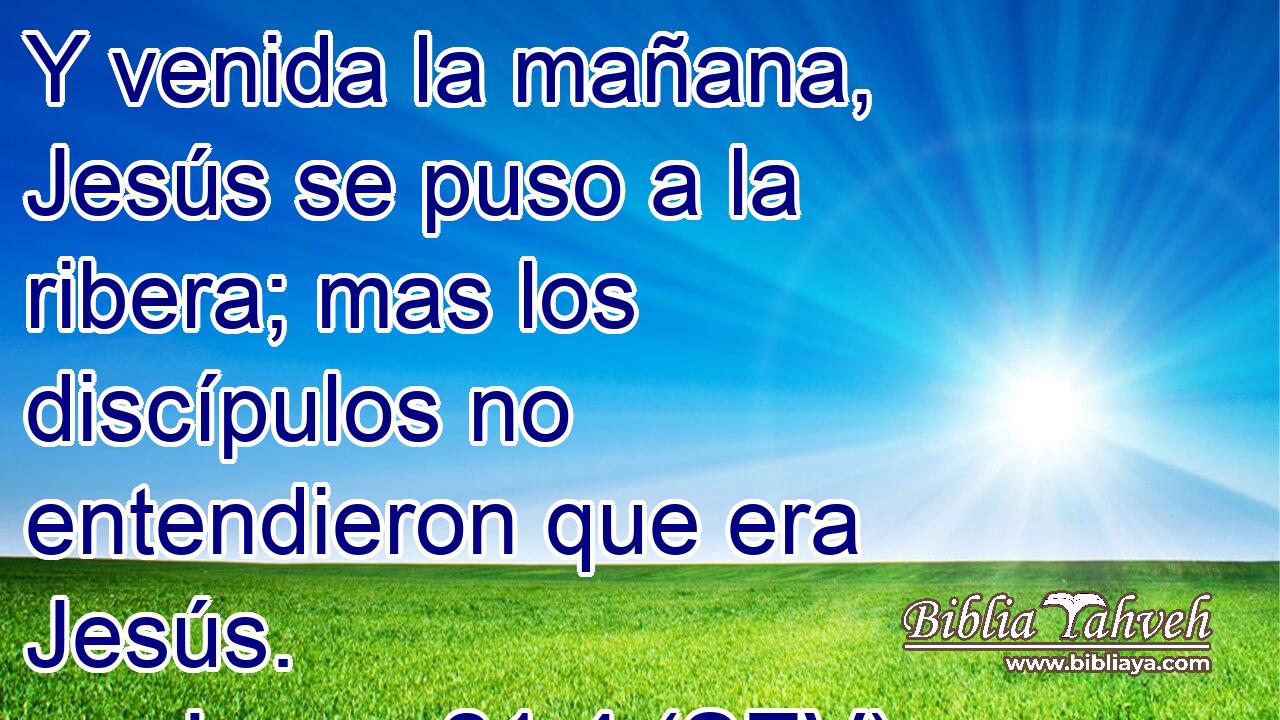 Y venida la mañana, Jesús se puso a la ribera; mas los discípulos no entendieron que era Jesús.