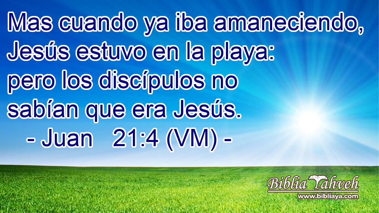  Mas cuando ya iba amaneciendo, Jesús estuvo en la playa: pero los discípulos no sabían que era Jesús. 