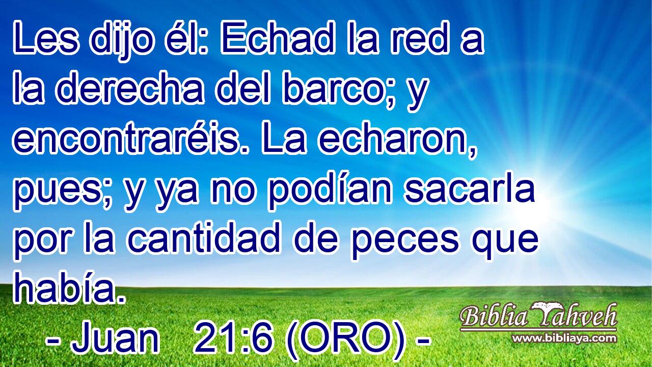  Les dijo él: Echad la red a la derecha del barco; y encontraréis. La echaron, pues; y ya no podían sacarla por la cantidad de peces que había. 