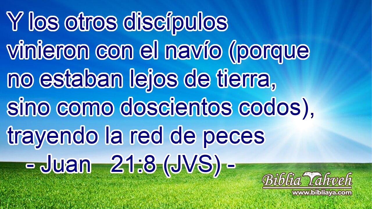 Y los otros discípulos vinieron con el navío (porque no estaban lejos de tierra, sino como doscientos codos), trayendo la red de peces