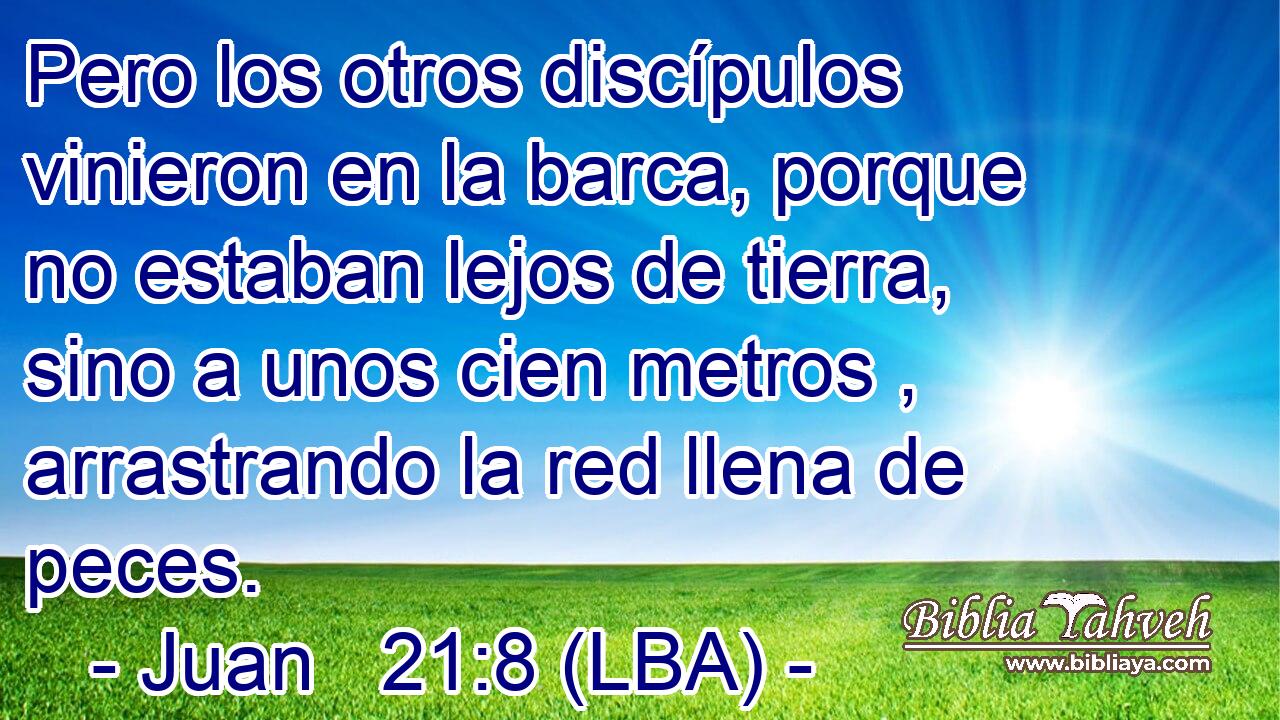 Pero los otros discípulos vinieron en la barca, porque no estaban lejos de tierra, sino a unos cien metros , arrastrando la red llena de peces.