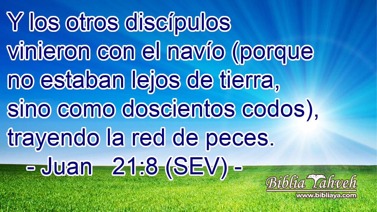 Y los otros discípulos vinieron con el navío (porque no estaban lejos de tierra, sino como doscientos codos), trayendo la red de peces.