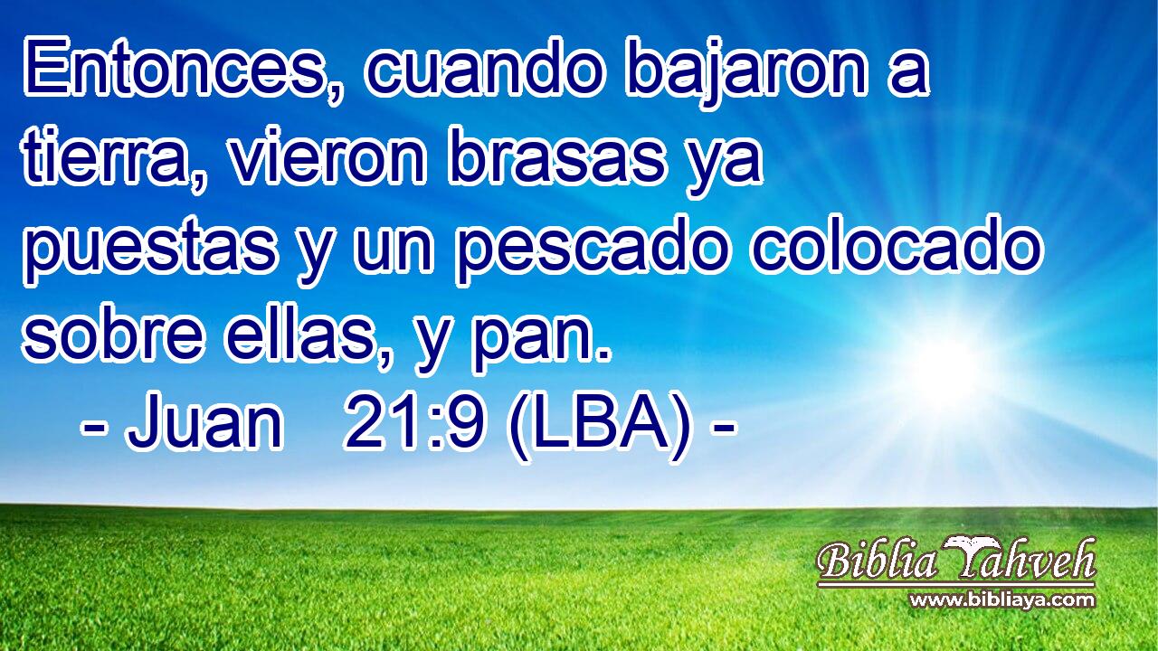 Entonces, cuando bajaron a tierra, vieron brasas ya puestas y un pescado colocado sobre ellas, y pan.