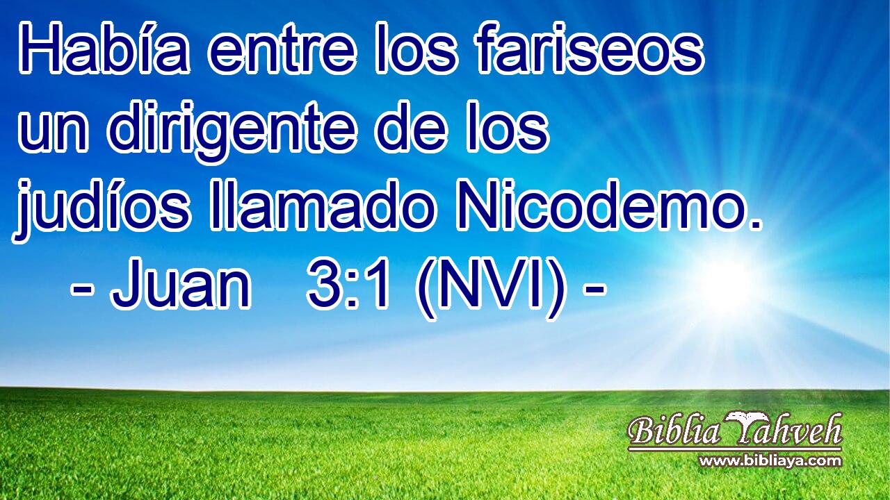  Había entre los fariseos un dirigente de los judíos llamado Nicodemo. 
