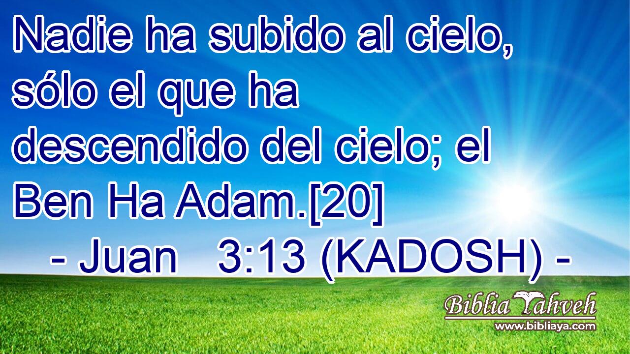  Nadie ha subido al cielo, sólo el que ha descendido del cielo; el Ben Ha Adam.[20] 