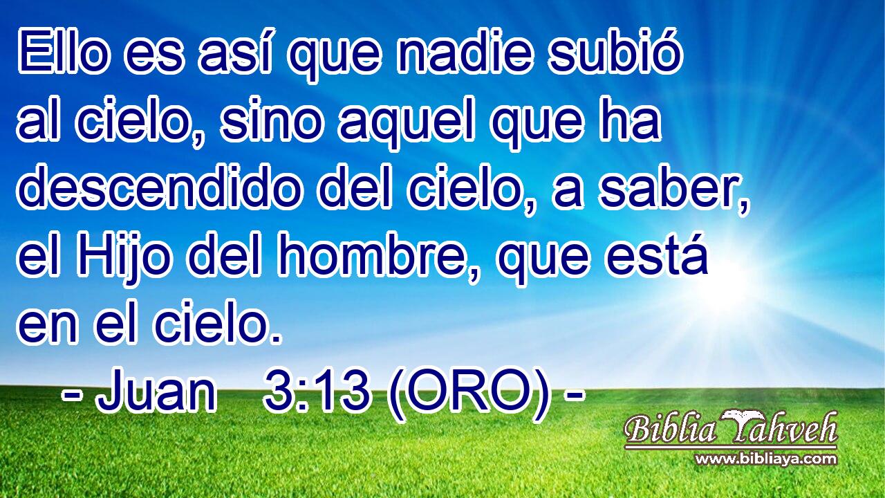  Ello es así que nadie subió al cielo, sino aquel que ha descendido del cielo, a saber, el Hijo del hombre, que está en el cielo. 