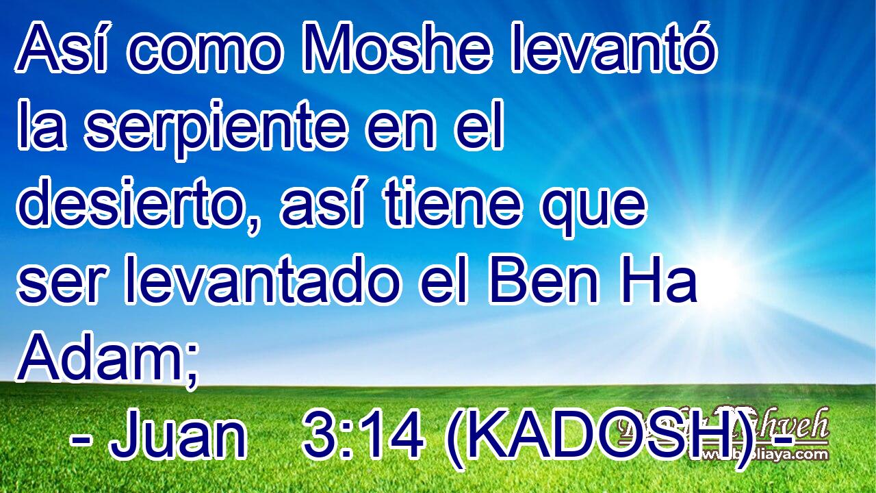  Así como Moshe levantó la serpiente en el desierto, así tiene que ser levantado el Ben Ha Adam; 