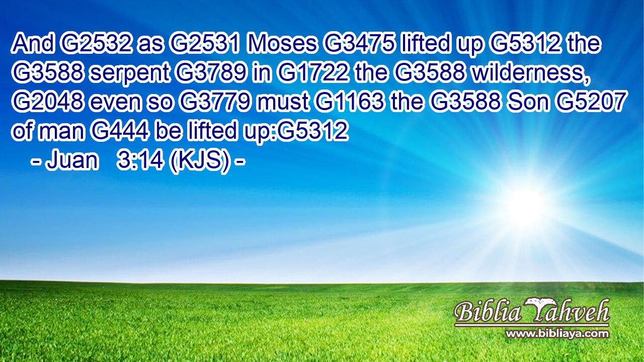 And G2532 as G2531 Moses G3475 lifted up G5312 the G3588 serpent G3789 in G1722 the G3588 wilderness, G2048 even so G3779 must G1163 the G3588 Son G5207 of man G444 be lifted up:G5312
