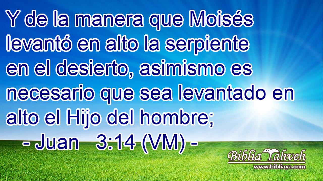  Y de la manera que Moisés levantó en alto la serpiente en el desierto, asimismo es necesario que sea levantado en alto el Hijo del hombre; 