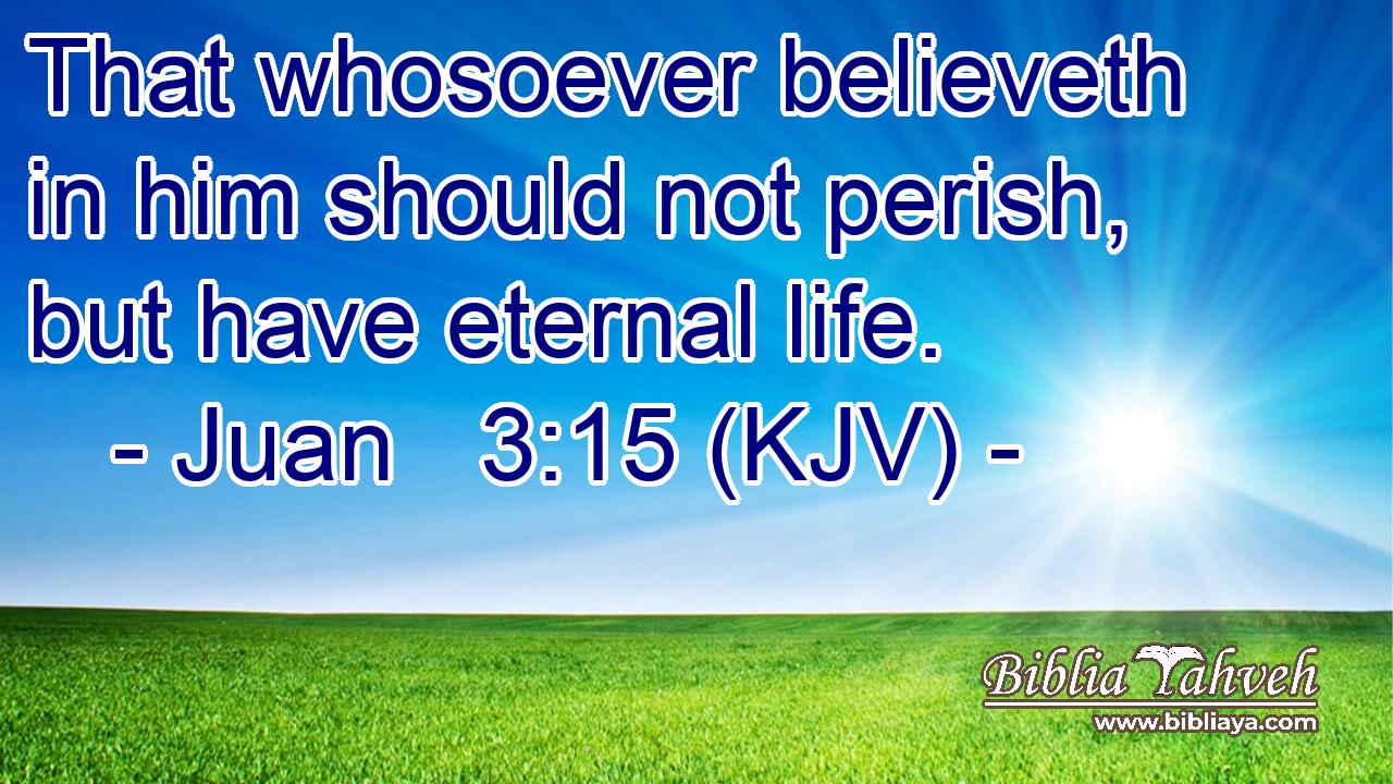 That whosoever believeth in him should not perish, but have eternal life.