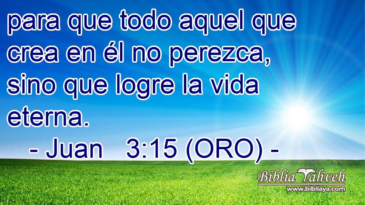  para que todo aquel que crea en él no perezca, sino que logre la vida eterna. 