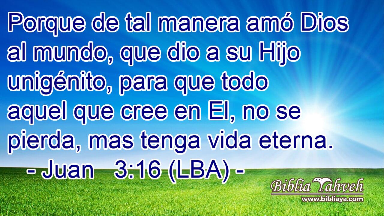 Porque de tal manera amó Dios al mundo, que dio a su Hijo unigénito, para que todo aquel que cree en El, no se pierda, mas tenga vida eterna.