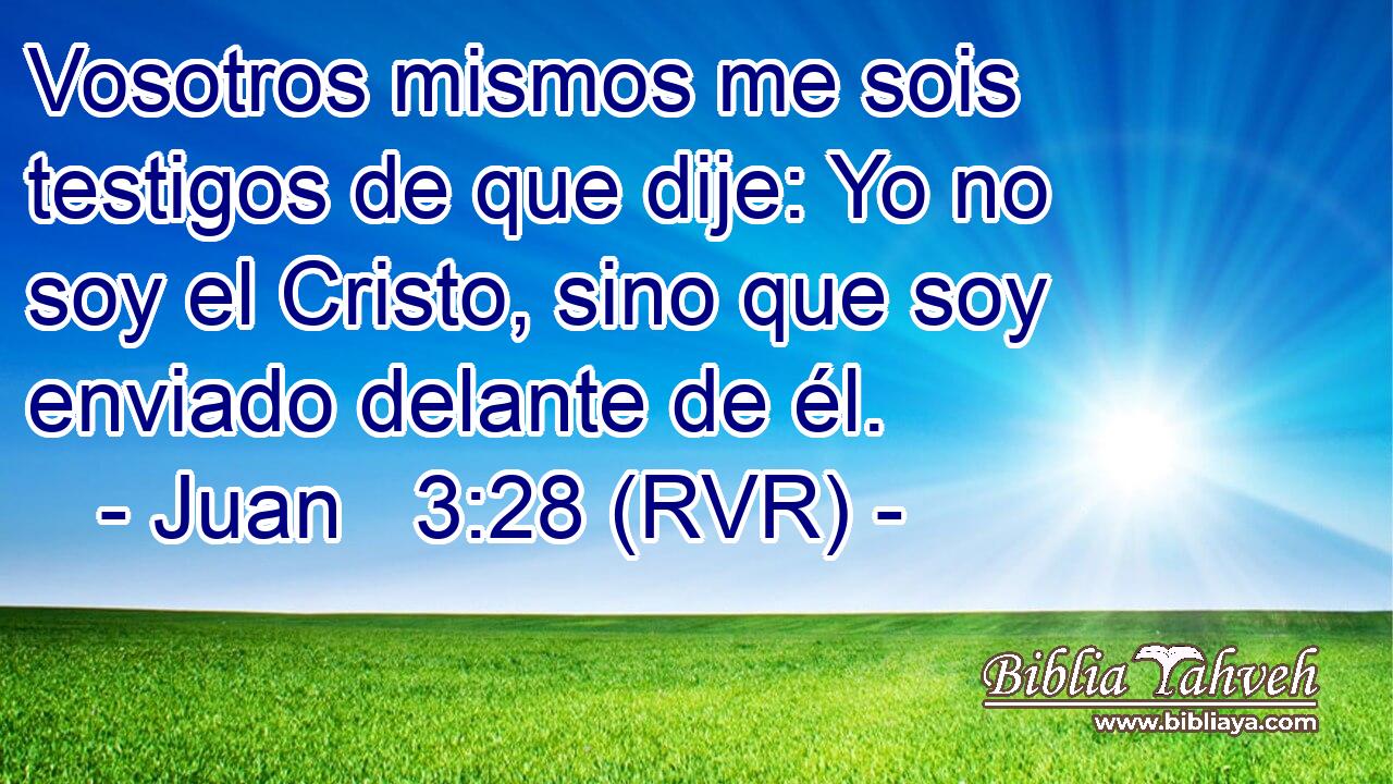 Vosotros mismos me sois testigos de que dije: Yo no soy el Cristo, sino que soy enviado delante de él.