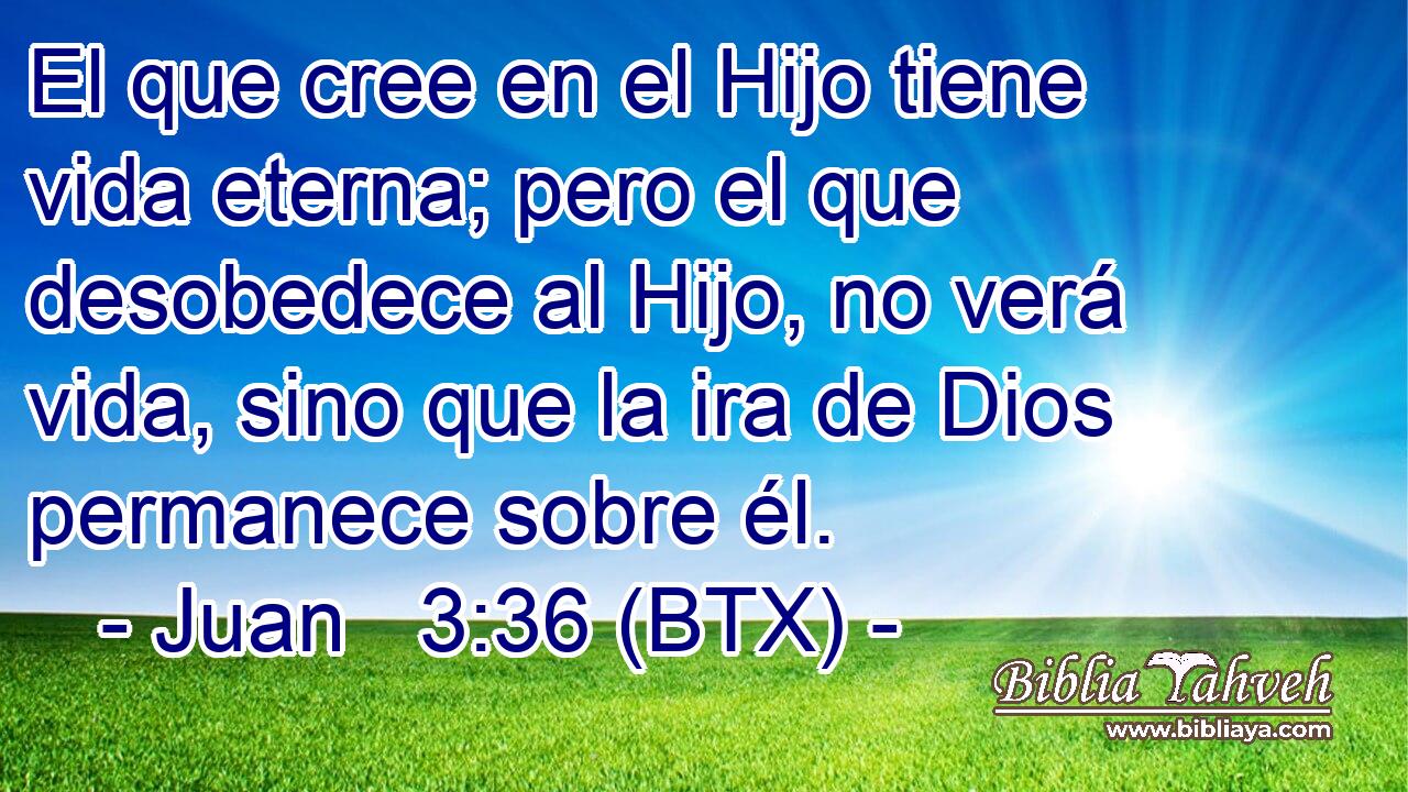 El que cree en el Hijo tiene vida eterna; pero el que desobedece al Hijo, no verá vida, sino que la ira de Dios permanece sobre él.