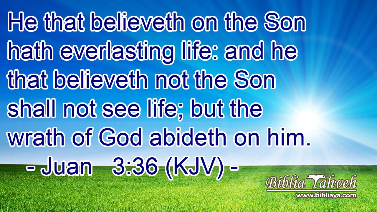 He that believeth on the Son hath everlasting life: and he that believeth not the Son shall not see life; but the wrath of God abideth on him.