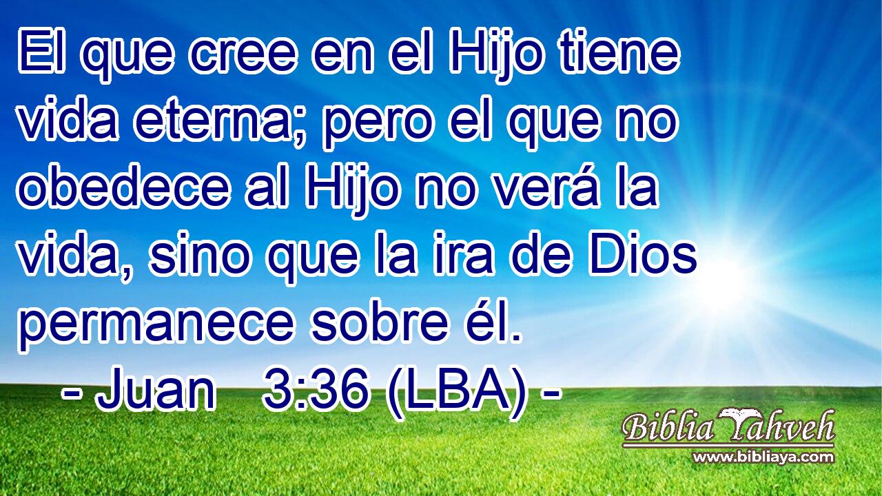 El que cree en el Hijo tiene vida eterna; pero el que no obedece al Hijo no verá la vida, sino que la ira de Dios permanece sobre él.