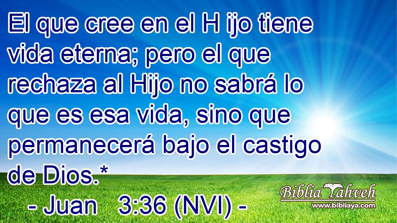  El que cree en el H ijo tiene vida eterna; pero el que rechaza al Hijo no sabrá lo que es esa vida, sino que permanecerá bajo el castigo de Dios.* 