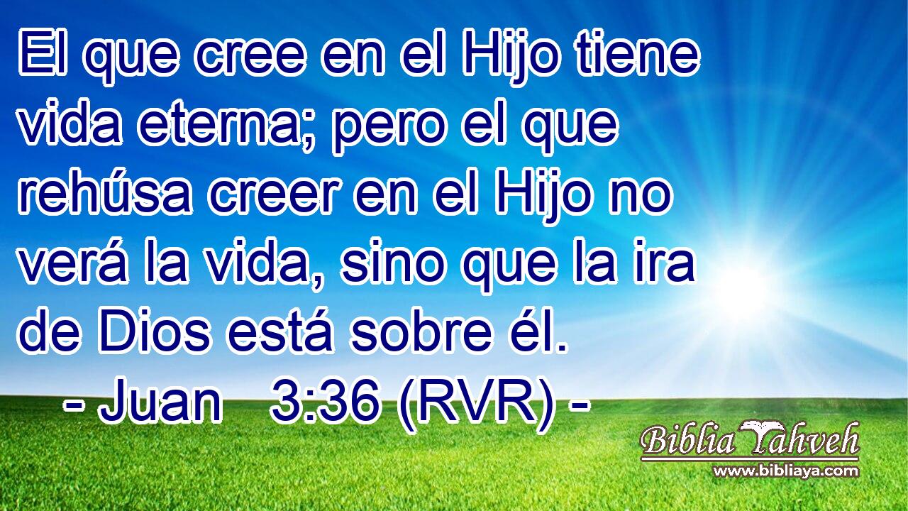 El que cree en el Hijo tiene vida eterna; pero el que rehúsa creer en el Hijo no verá la vida, sino que la ira de Dios está sobre él.