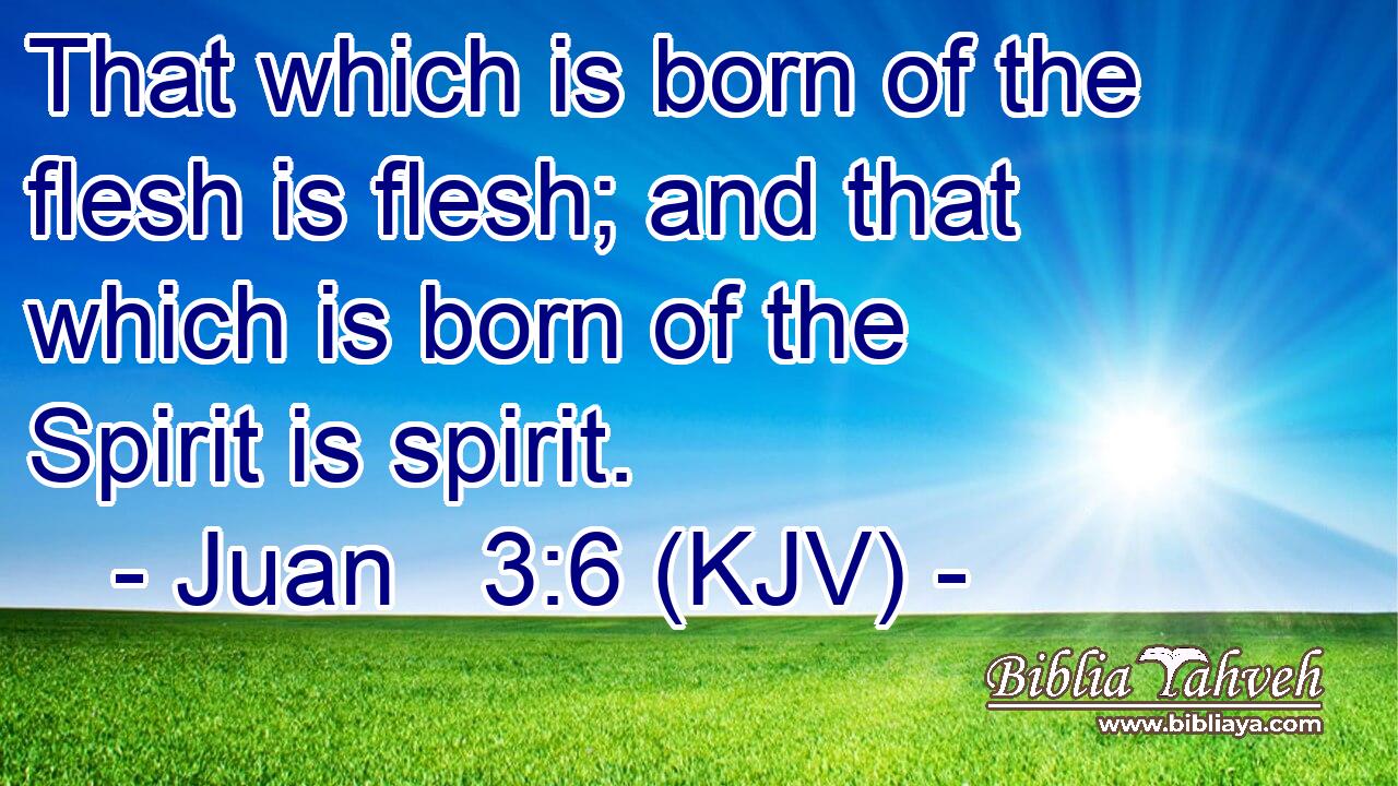 That which is born of the flesh is flesh; and that which is born of the Spirit is spirit.
