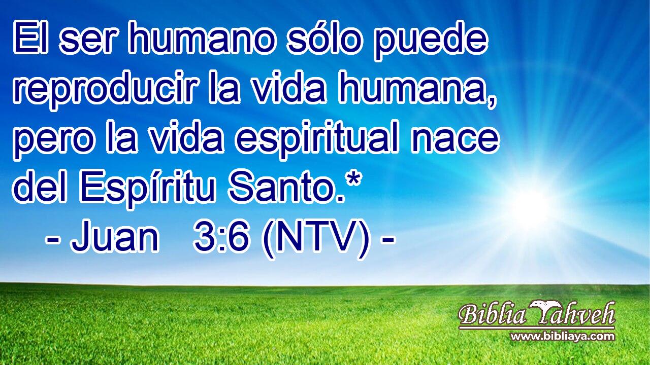 El ser humano sólo puede reproducir la vida humana, pero la vida espiritual nace del Espíritu Santo.*