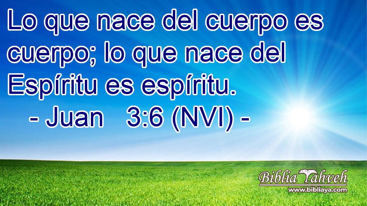  Lo que nace del cuerpo es cuerpo; lo que nace del Espíritu es espíritu. 