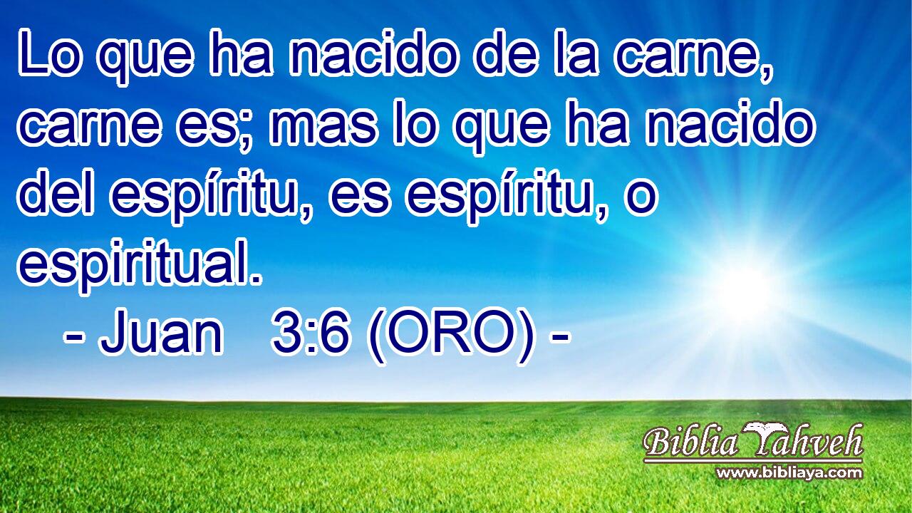  Lo que ha nacido de la carne, carne es; mas lo que ha nacido del espíritu, es espíritu, o espiritual. 